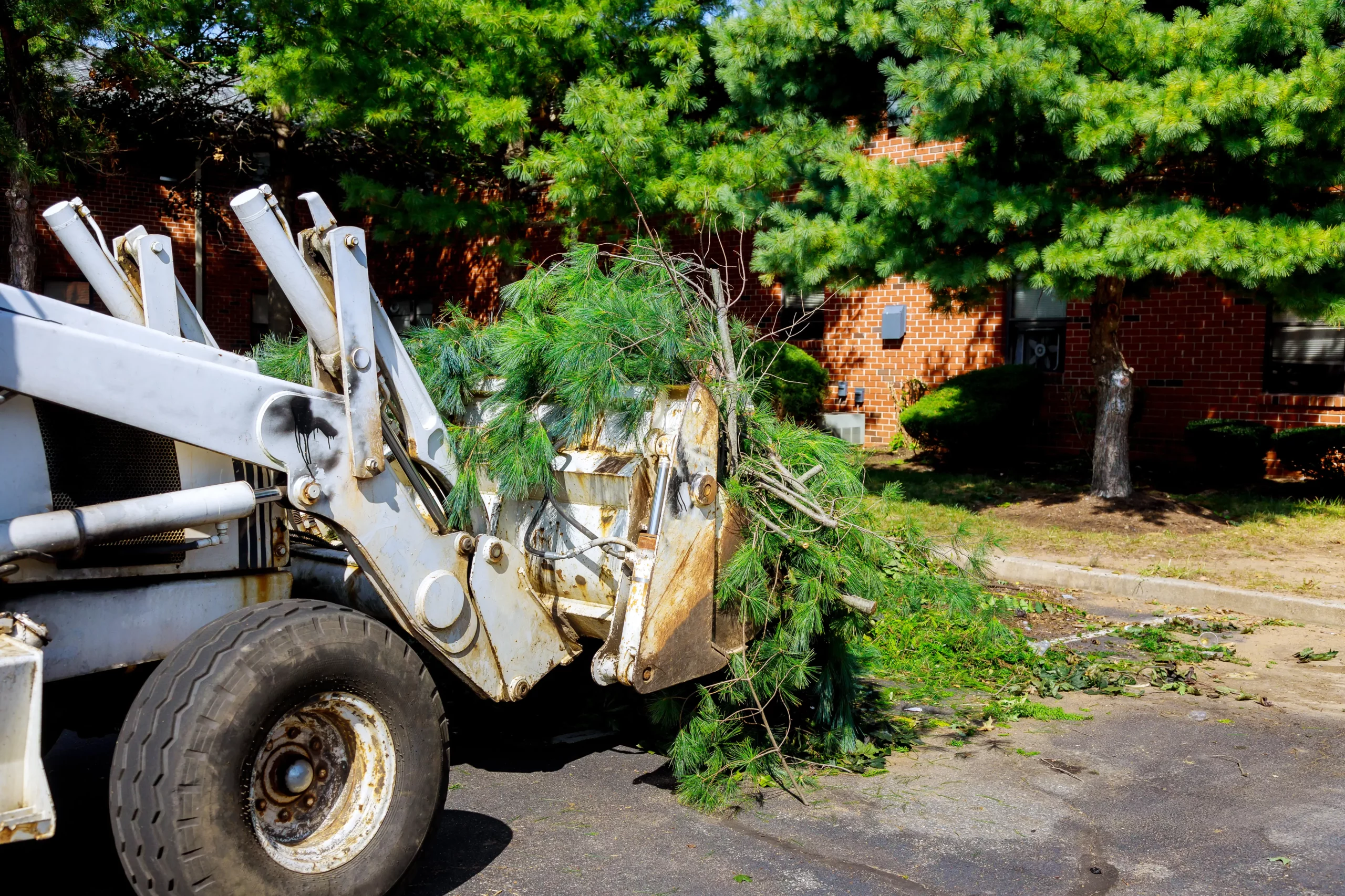 Tractor used for hurricane debris removal