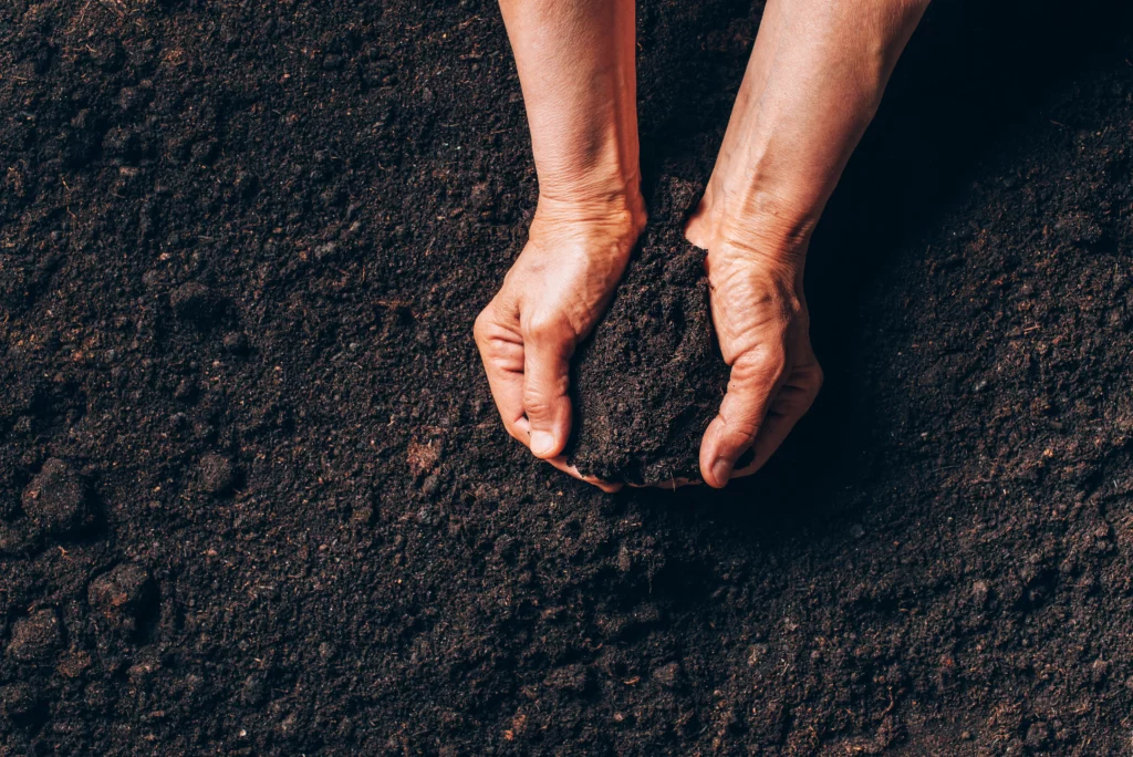 Hands in soil