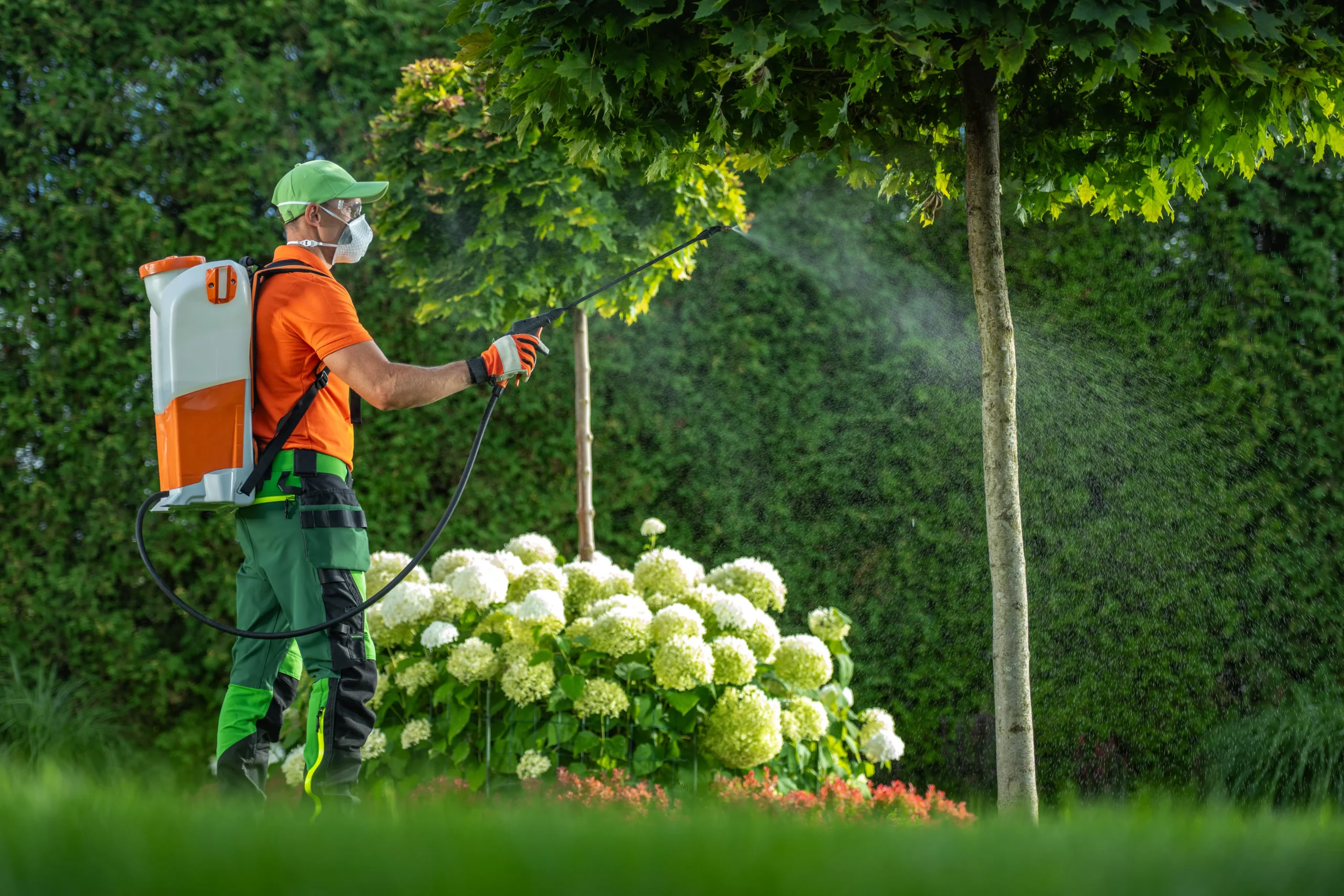 Worker spraying insecticide
