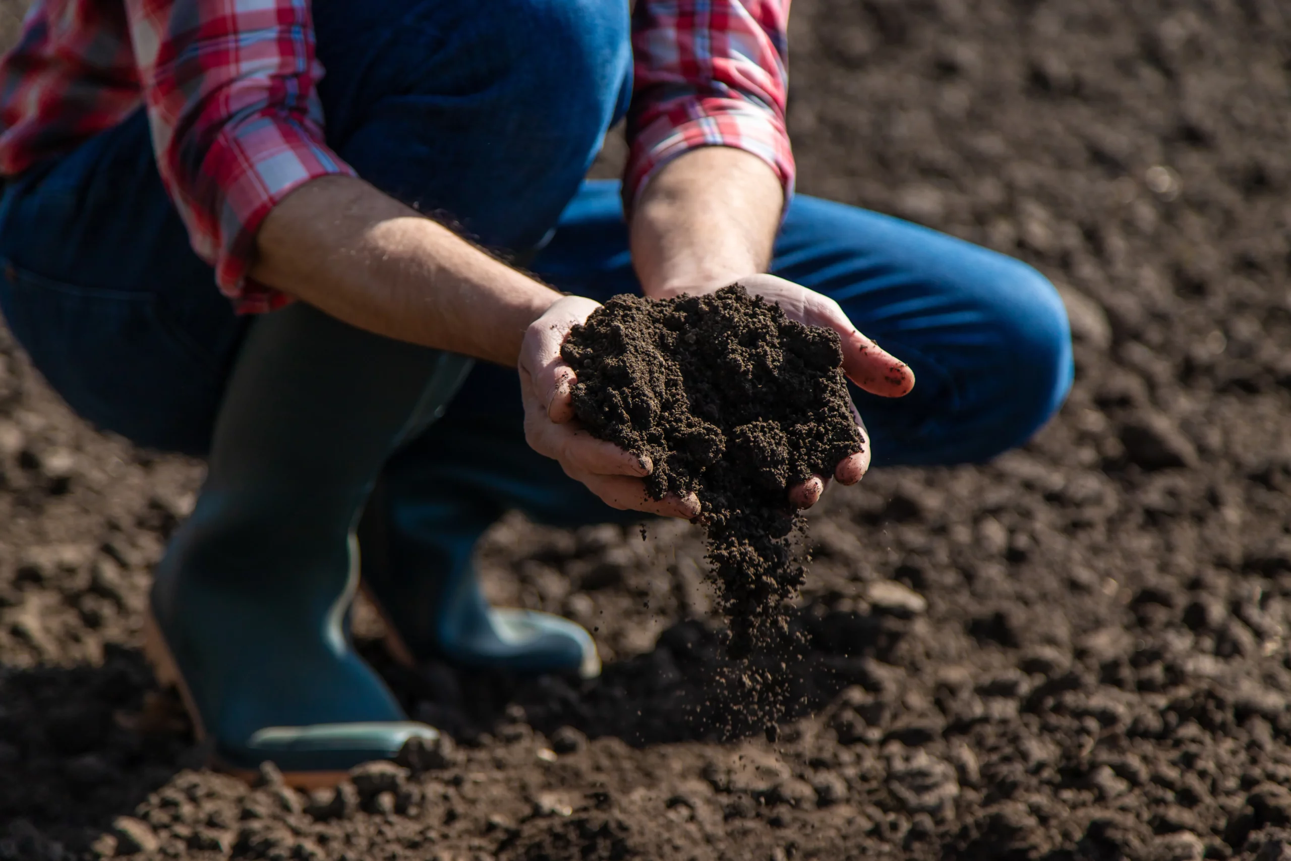 Hands holding soil