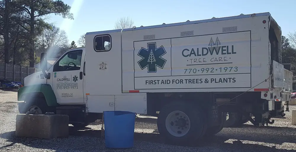 Caldwell Tree Care Office Workers