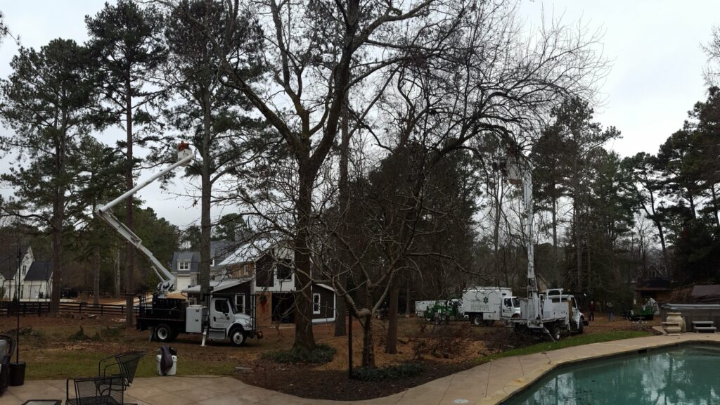 Caldwell Tree Care trucks working on trimming branches