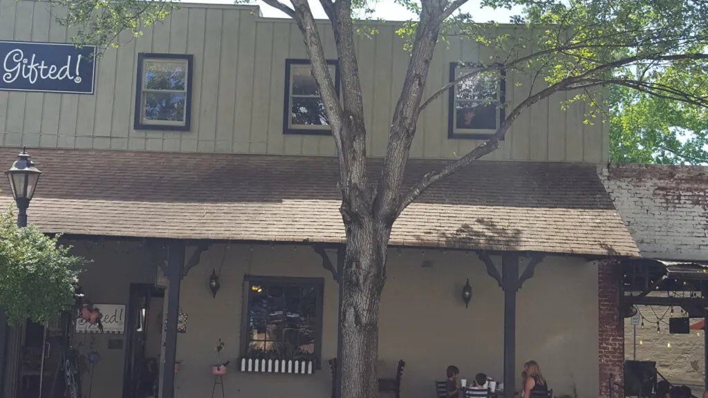 Tree in front of home