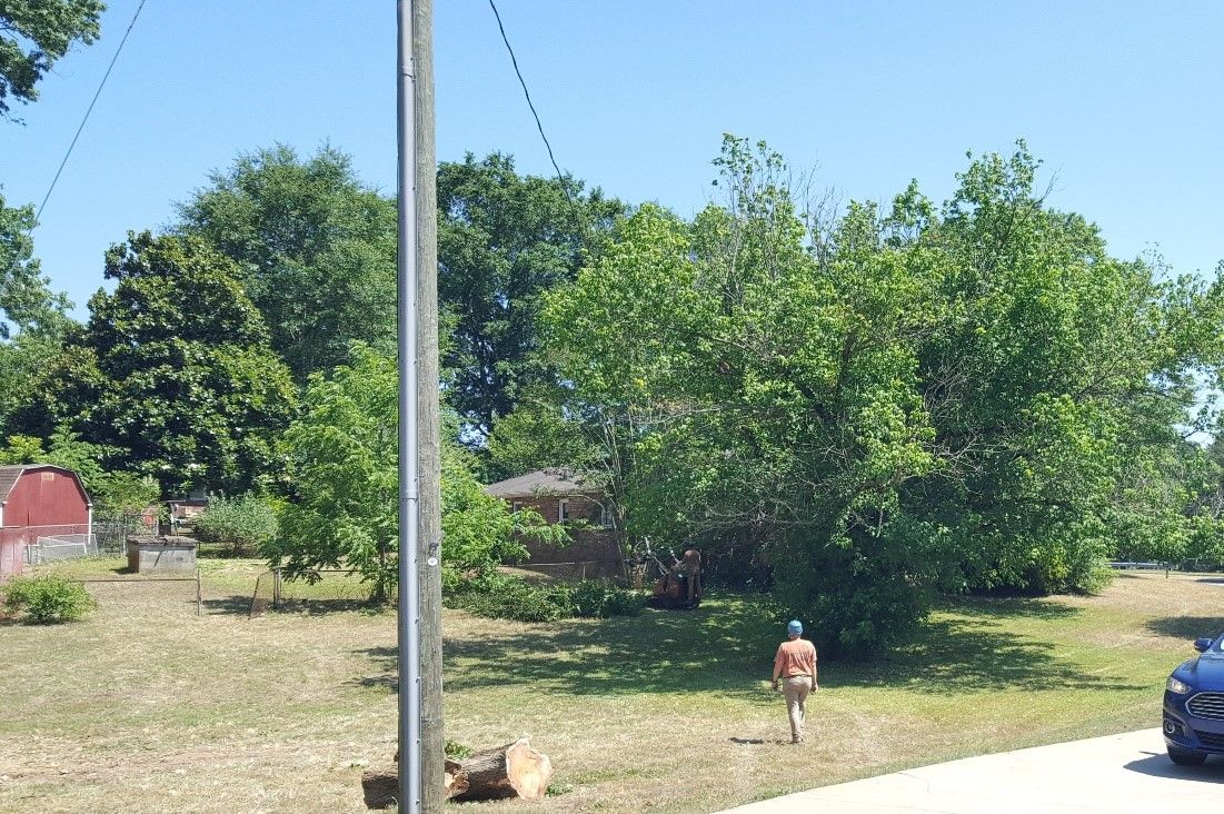 The before shot of the area behind and beside the house