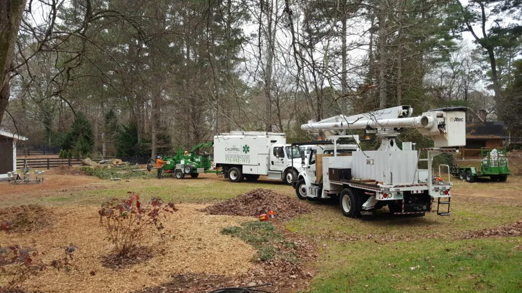 Caldwell Tree Care trucks parked at job site