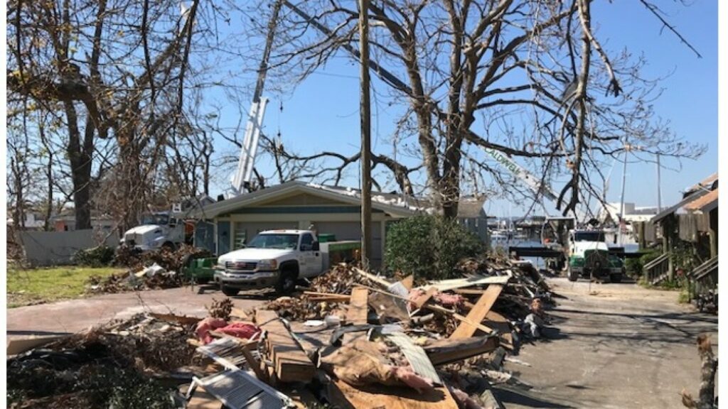 Damaged trees and equipment