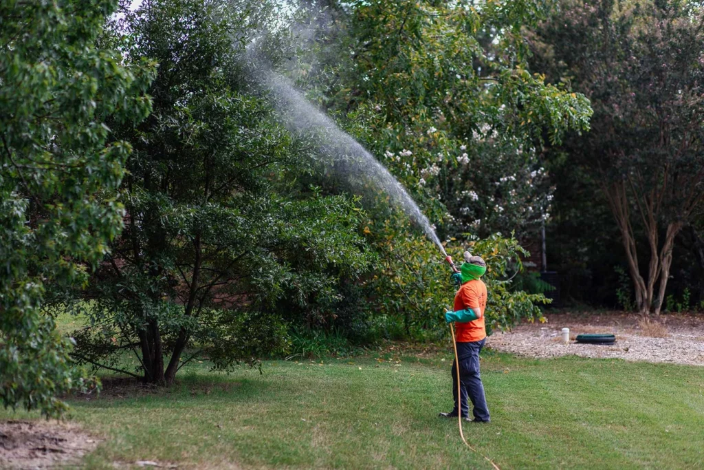 Caldwell Tree Care Office Workers