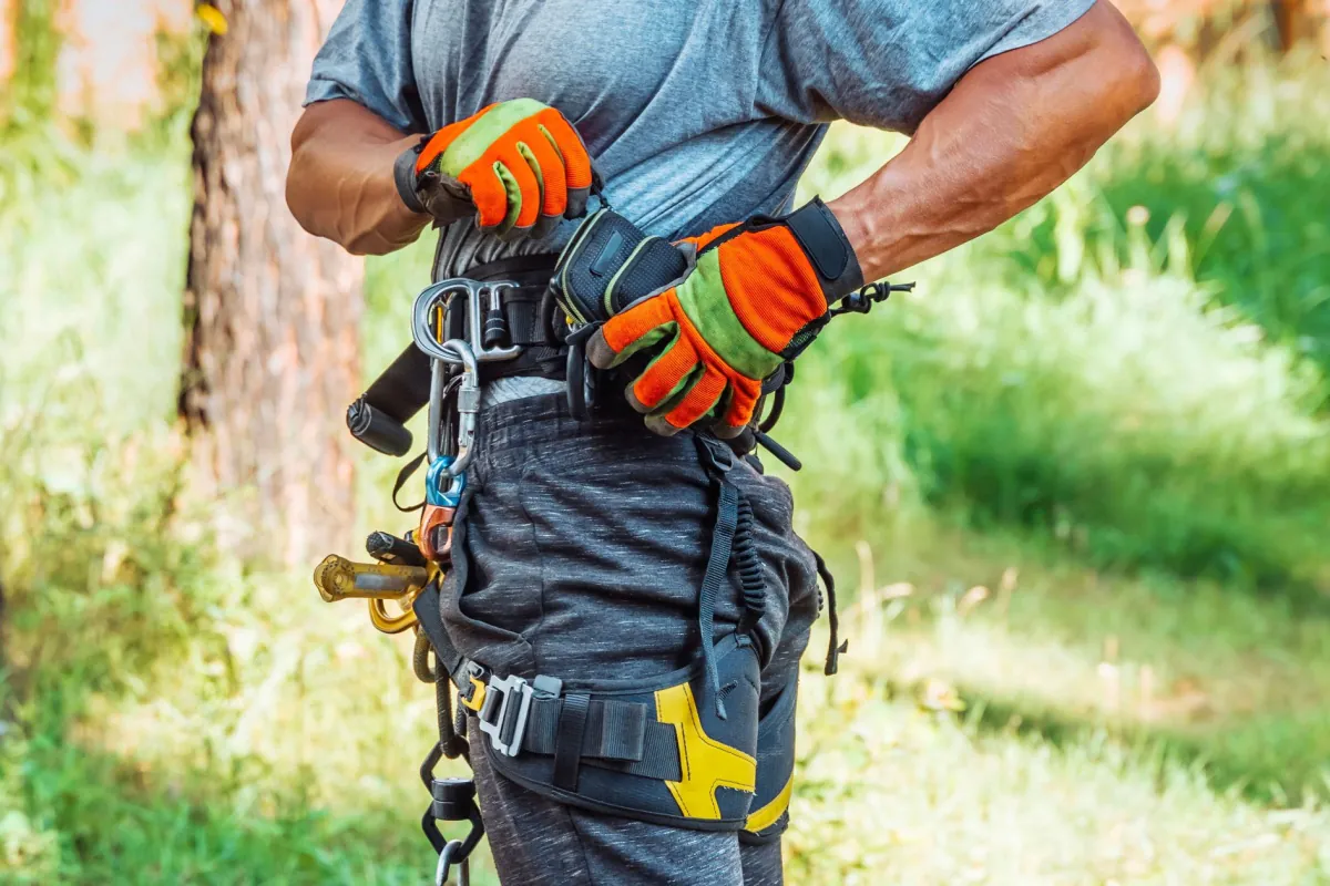 A certified arborist with his climbing gear on and a tree in the background